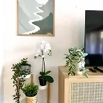 Ideal Relax - Jardin - Free Parking - Wifi Holiday home Vigo