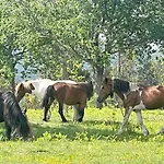 Ideal Relax - Jardin - Free Parking - Wifi Holiday home Vigo