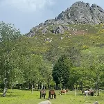 Ideal Relax - Jardin - Free Parking - Wifi Holiday home *