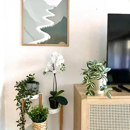 Duplex Pet-friendly Con Jardin Relax Holiday home Vigo