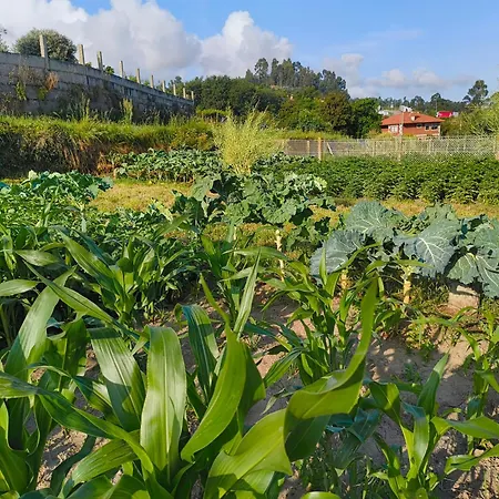 Tatil Evi Ideal Para Relax - Jardin - Free Parking - Wifi Vigo