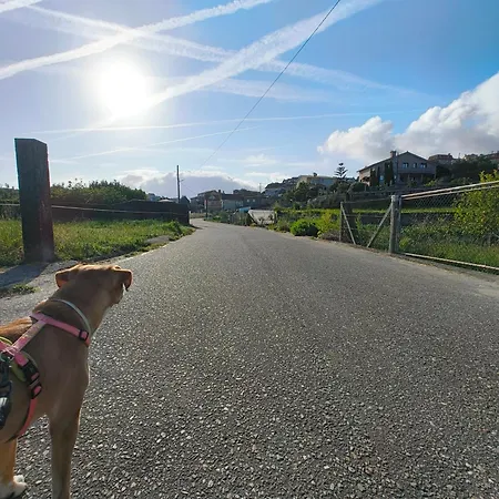Duplex Pet-friendly Con Jardin Relax Holiday home