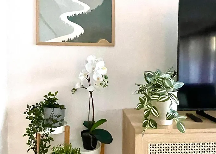 Ideal Para Relax - Jardin - Free Parking - Wifi Tatil Evi Vigo