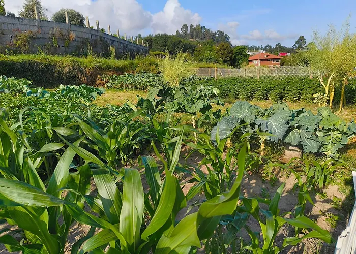 Tatil Evi Ideal Para Relax - Jardin - Free Parking - Wifi Vigo