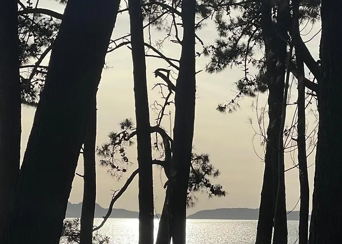 Tatil Evi Ideal Para Relax - Jardin - Free Parking - Wifi *