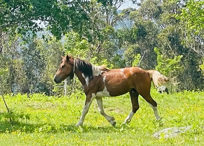 Ideal Para Relax - Jardin - Free Parking - Wifi *